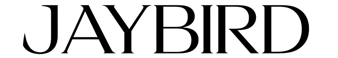 Jaybird logo helping leaders make decisions, financial modelling